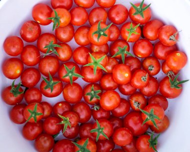 Natural cherry tomato close up with white background in the market
