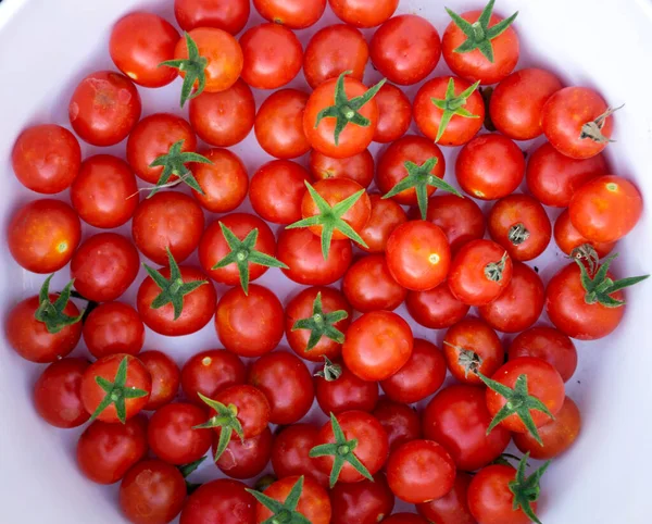 Natural cherry tomato close up with white background in the market