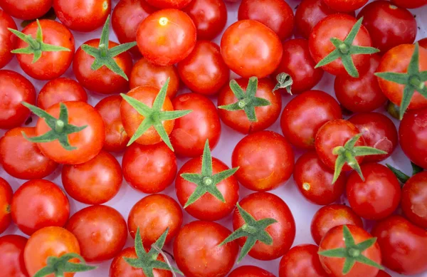 Natural cherry tomato close up with white background