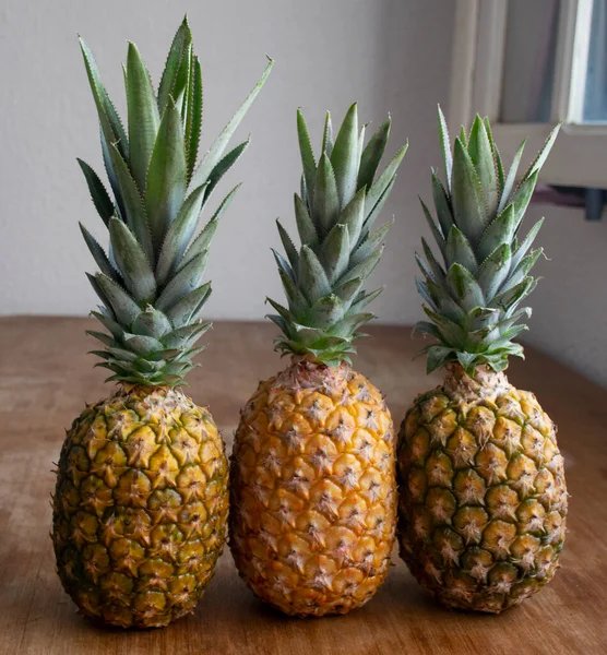 Three tropical pineapples with wood background