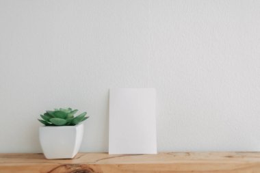 Beyaz duvarda kaktüs tenceresi olan boş bir kartpostal modeli..