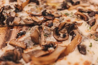 Vejetaryen vejetaryen pizza için nefis sebzeli pizzayı kapat..