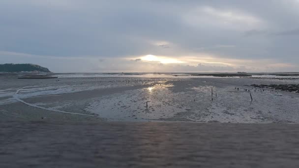Mud flat sea at low tide with sunset in Chonburi Thailand. — 图库视频影像