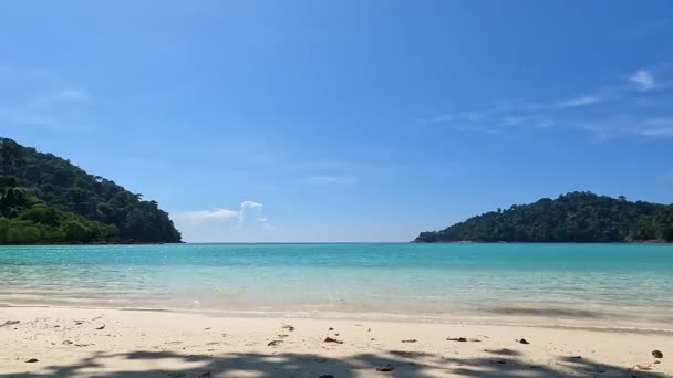 Wave Beach Island Surin National Park Phang Nga Thailand — 비디오