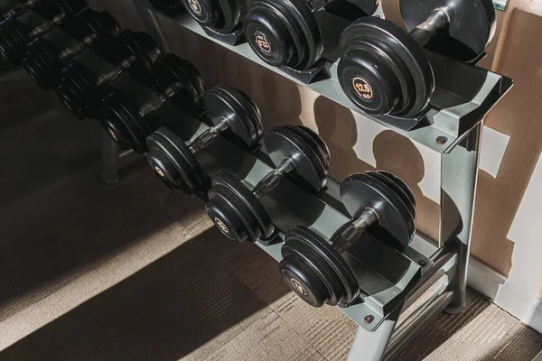 Black dumbbells on metal racks in the gym.