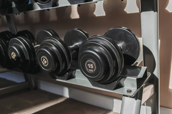 Black dumbbells on metal racks in the gym.