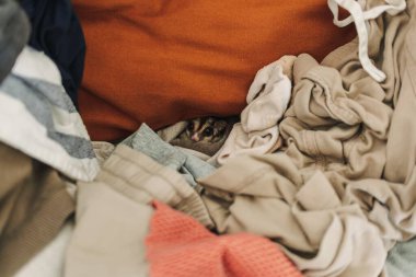 Little Sugar Glider hiding in the pile of clothes and looking up cautiously.