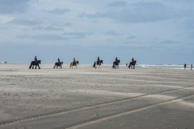 Vlieland adasının kumlu sahilinde sonbaharda Amazonlarla dolu atlar.