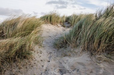Sonbaharda güneşli bir günde Wadden Adası 'nın kumlu kum tepelerinin arasından geçen patika.