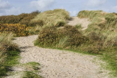 Sonbaharda Wadden Adası 'ndaki Kuzey Denizi' nin kumları boyunca uzanan kumlu patika.