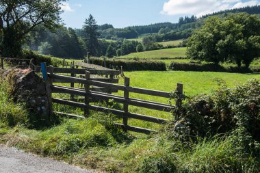 Yazın güneşli bir günde Fransız Bourgogne 'unda duvarları, çitleri ve ağaçları olan bir çitin önünde.