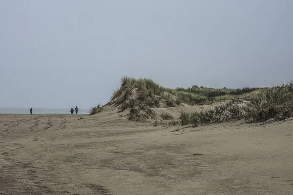 Par Promenader Sandstranden Nära Sanddynerna Ouddorp Goeree Overflakkee — Stockfoto