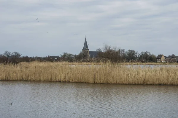 Church Drempt Reed Bushes River Ijssel Early Spring — стоковое фото