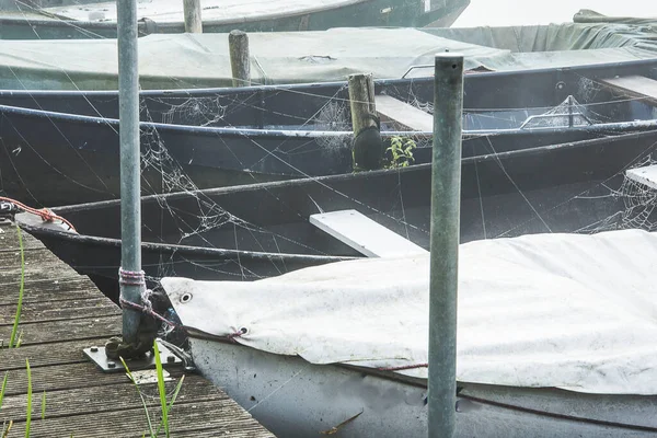 Spinnenwebben Met Waterdruppels Tussen Roeiboten Aan Kade Van Oude Ijssel — Stockfoto