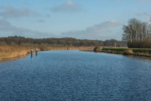 Waves Water Reed Banks River Oude Ijssel Sunny Day Winter — Stock Photo, Image