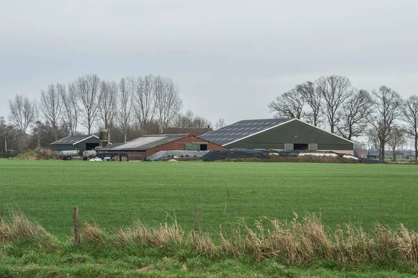 farm with modern stables for cows, fodder silos and silage piles on a winter\'s day