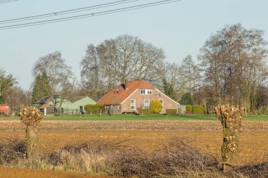 Pollard söğütleri, kışın güneşli bir günde ahırları ve çitleri olan eski çiftlik evinin yanında.