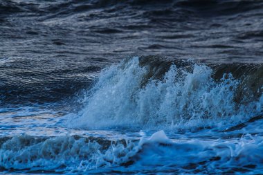 Köpüklü yüksek dalgalar fırtınalı bir sonbahar gününde Goeree Overvlakkee adasının Hollanda kıyılarına vurur.