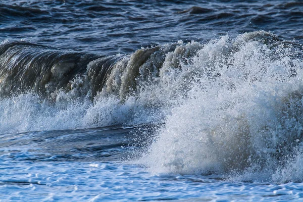 Köpüklü yüksek dalgalar fırtınalı bir sonbahar gününde Goeree Overvlakkee adasının Hollanda kıyılarına vurur.
