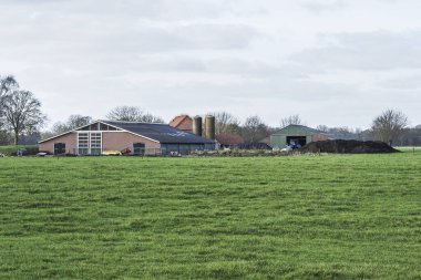 İnek ahırları, yem ambarları, tohum yığınları, yeşil saman balyaları, traktör ve kırmızı çatılı bir çiftliğin arka bahçesi.