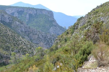 Verdon Gölü yakınlarındaki yeşil, kayalık dağlarda ağaçlar. 