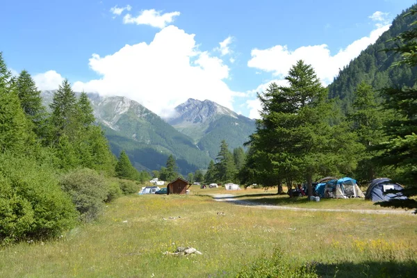 Parque Campismo Nos Alpes Região Francesa Queyras Verão — Fotografia de Stock