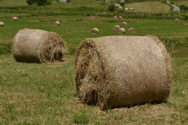 Hay Bales Meadow Valley Mountain Nature Area Parc Des Ecrins — Stock Photo, Image