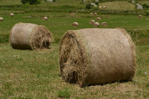 Hay Bales Meadow Valley Mountain Nature Area Parc Des Ecrins — Stok Foto