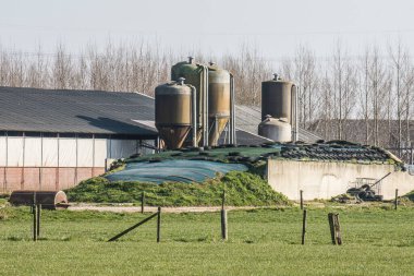 Kışın güneşli bir günde inek ahırı ve siloları olan bir çiftlik.