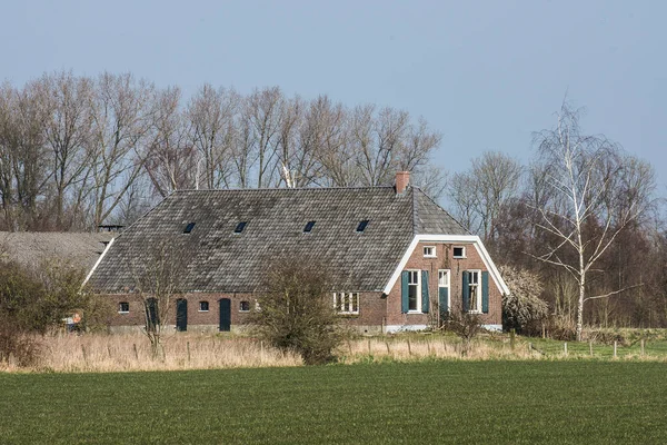 Krajobraz Byłym Gospodarstwem Rolnym Drzewami Regionie Achterhoek Holandii — Zdjęcie stockowe