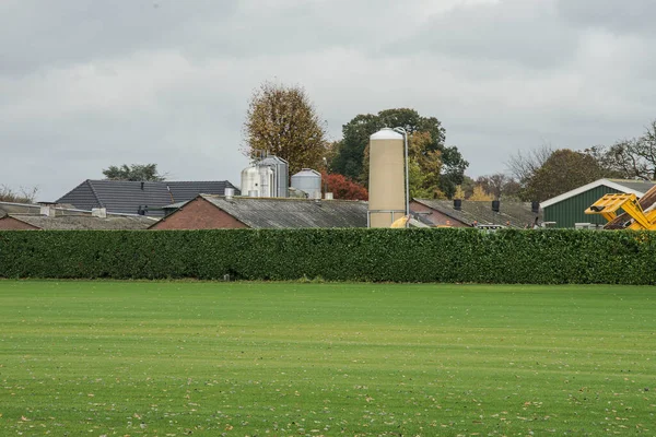 barns and cow stables near farm with silos behind taxus hedge and meadow in autumn