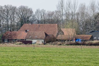 Achterhoek 'in Hollanda bölgesinde çiftlik evi ve kırmızı kiremitli çatıları olan ahırlar.  