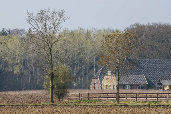 Ferme Dans Paysage Avec Des Arbres Avec Des Feuilles Vertes — Photo