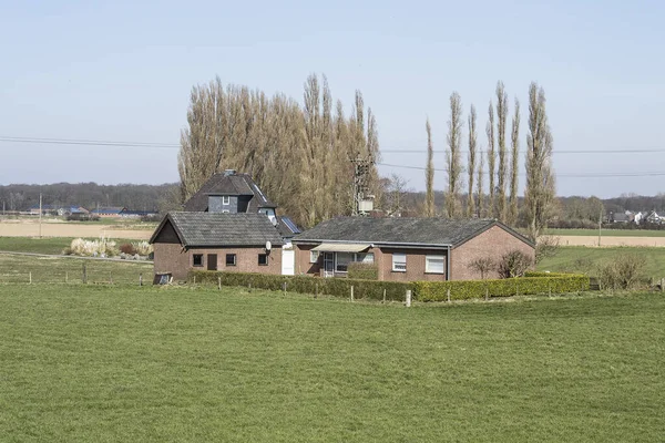 Bauernhaus Mit Scheunen Hinter Dem Rheindeich Mit Pappeln Hintergrund Deutschland — Stockfoto