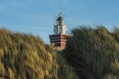 Kum tepelerinde kırmızı deniz feneri. Nortsea kıyısındaki Goeree Overflakkee adasının sahil çimleriyle kaplı.