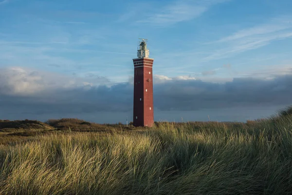 Kum tepelerinde kırmızı deniz feneri. Nortsea kıyısındaki Goeree Overflakkee adasının sahil çimleriyle kaplı.