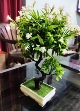 Masanın üstüne yerleştirilmiş plastik ağaç resmi. Ev dekorasyonu için kullanılır..