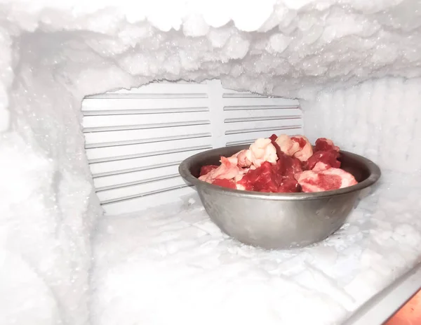 Dalam Freezer Kecil Dengan Semangkuk Daging — Stok Foto