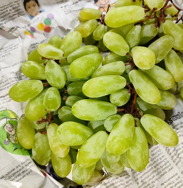 Adoor Kerala April 2022 Wazige Achtergrond Met Groene Druiven Achtergrond — Stockfoto