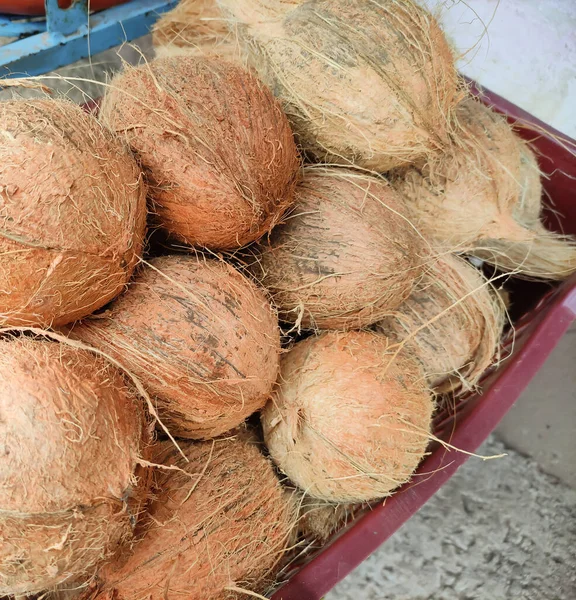 Satılık soyulmuş hindistan cevizleri. Resim seçici odaklı.