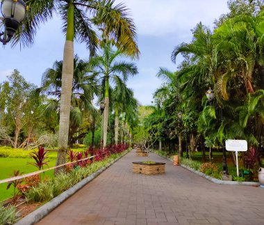 Ernakulam, KERALA - HAZİRAN 22 - 2022: yan taraflarında ağaçlar olan bir parkın geçidi. Fotoğraf Ernakulam bölgesindeki Subhash Chandraboss Park 'tan alındı. Fotoğraf akşamleyin çekildi.