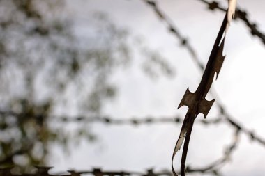 Detaylarda dikenli tel var. Karantina ve sosyal mesafenin acımasız bir sembolü. Yalnızlık ve ölüm kavramı