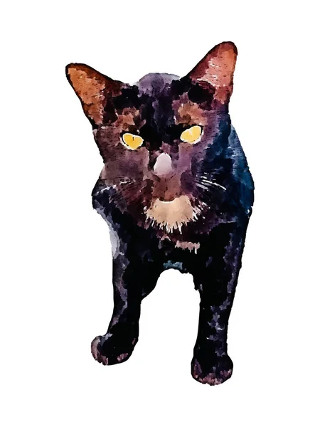 Aquarela Pintura Bonito Gato Mão Desenhado Animal Estimação Kitten Pintura —  Vetores de Stock