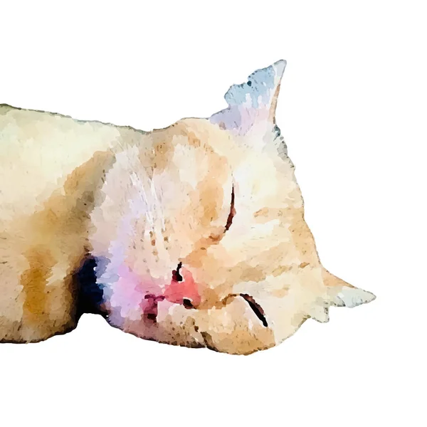 Aquarelle Peinture Mignon Chat Main Dessiné Animal Compagnie Illustration Peinture — Image vectorielle