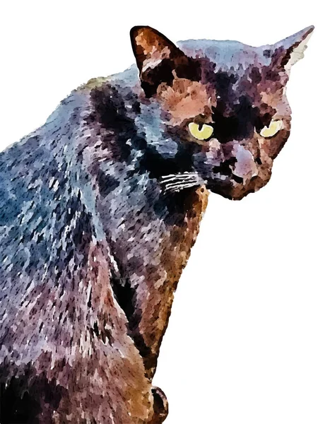 Aquarela Pintura Bonito Gato Mão Desenhado Animal Estimação Kitten Pintura — Vetor de Stock