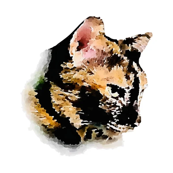 水彩画かわいい猫手描きペット 子猫絵イラスト ぬれた紙に抽象的なブラシの描画 バナーテンプレート白の背景ベクトルイラスト — ストックベクタ