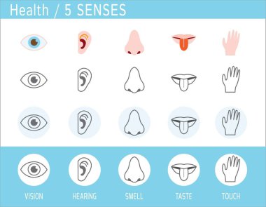 5 senses icon set. Touch, smell, hearing, vision, taste