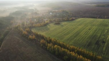 Sonbahar sabahı şehrin dışındaki tarla manzarası