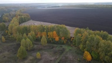 Sonbahar sabahı şehrin dışındaki tarla manzarası