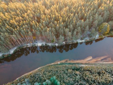 Ormanın manzarası Sonbahar sabahı şehir dışında